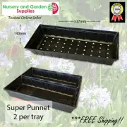 Super Punnet - Pack of 40 - Grow plant seedlings, Potted colour, Tray Herbs