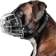 CleverTail Metal Muzzle for Boxer Dog Breed – Bite Proof Boxer Muzzle for Medium and Large Sized Dogs – Steel Wire Basket Muzzle for Dogs English Bulldog, American Bulldog etc.