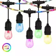 Outdoor 48 ft. Plug-in 15 Globe Bulb RGB String Fairy Rope Light