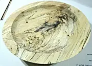 Spalted Ash - 10-3/8 x 2-1/8- Rough Turned Lathe Crotch Bowl Blank Dried