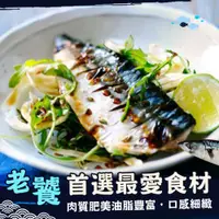 在飛比找ETMall東森購物網優惠-【歐嘉嚴選】挪威薄鹽鯖魚16片組(200~210g±10%/