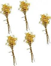ULDIGI 5Pcs Dried Gypsophila Flower Bouquet Present Box Decoration for Weddings Home Decor and Photography Props Premium Quality Babysbreath Arrangement