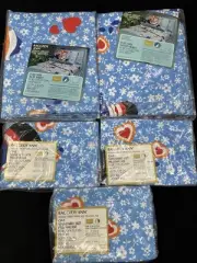 Vintage Raggedy Ann and Andy Full Size 1-Fitted & 1-Flat 3 Pillow Case Lot 5