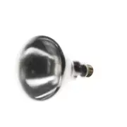 Alto Shaam LP33781 Lamp, Infrared, Clear, Tefl N 250W, 235245V, E27