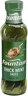 Fountain Thick Mint Sauce Dipping and Marinade Fountain Sauces 250 ml