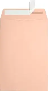 LUXPaper 6 x 9 Open End Envelopes | Peel & Press | Blush Pink | 80lb. Text | 50 Qty