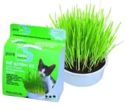 Oat Garden Kit Null Null