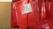 1000 Pink 8-1/4" x 10" x 3" Poly Electrostatic Bags Antistatic (N2)