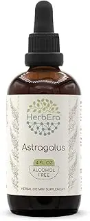 Astragalus B120 Alcohol-Free Herbal Extract Tincture, Super-Concentrated Organic Astragalus (Astragalus membranaceus) (4 fl oz)