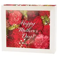 在飛比找誠品線上優惠-Sanrio母親節卡片/ 7-4/ 透明康乃馨花框