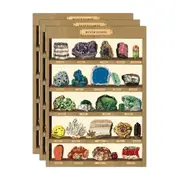 3x Cavallini Paper Poster Prints/Gift Wrap Wall Art Decor 50x70cm Mineralogie 2