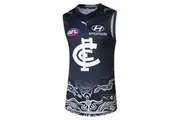 [Puma] Carlton Blues AFL Youth Indigenous Guernsey | Navy