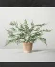 Hearth and Hand with Magnolia Artificial Faux Potted Plants Asparagus Fern 4Pack