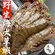 限量買10送1！南海豐【野生海大草蝦】野生海撈超大！肉質Q甜扎實海大