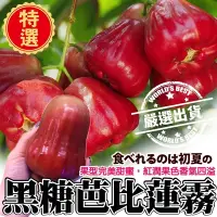 在飛比找Yahoo奇摩購物中心優惠-【果農植配】台灣特選黑糖芭比蓮霧2kg禮盒ｘ2盒(每盒8-1