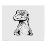 2 x 'Komodo Dragon' Microfibre Lens / Glasses Cleaning Cloths (LC00028375)