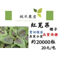 在飛比找蝦皮購物優惠-城禾農產🍃 紅莧菜 15克 約20000粒 紅杏 紅杏菜 紅