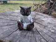 Foam Throwable Wise Old Owl Monk Light
