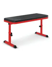 Powertrain Height-Adjustable Exercise Home Gym Flat Weight Bench