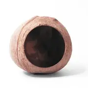 Coconut Whole House Coconut002