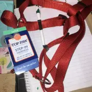 Top Paw Step-In Red Adjustable Dog Harness Large
