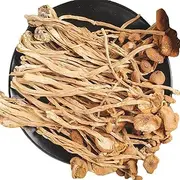 Organic Agrocybe Aegerita,Natural AGROCYBECYLINDRACEA Dried Tea Tree Mushroom;Tea Tree Mushrooms;Tea Tree Mushrooms Dried;Natural Organic Dried Tea Tree Mushroom (32oz)