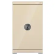 Philips Wi-Fi Connectivity Smart Safe - 89 KG (Gold) SBX602-6CU-GOLD