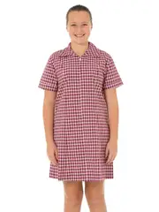 School Colour & Design Dress