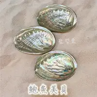 在飛比找樂天市場購物網優惠-鮑魚美貝(微拋光) 鮑魚貝 鮑魚貝殼 ~可用來燒白鼠尾草或放
