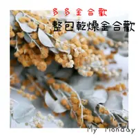 在飛比找蝦皮購物優惠-My Monday 衝評價！整包 金合歡【乾燥金合歡】乾燥花