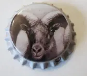 United States crown bottle caps kronkorken capsule chapas