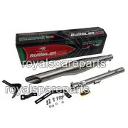 Royal Enfield Reborn Classic 350 Red Rooster S S Exhaust Silencer, Matt Finish (for: Royal Enfield)