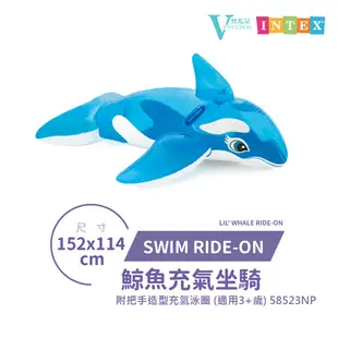 【VENCEDOR】INTEX 鯨魚充氣坐騎 充氣浮排 浮床 游泳 戲水 58523NP 水上玩具 現貨 滿499免運