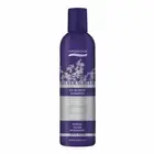 Natural Look Silver Screen Ice Blonde Shampoo 250 ml x 2