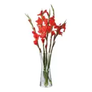 Dartington - Florabundance Crystal Gladioli Vase 36cm (Handmade in England)