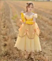 Beauty and the Beast Belle costume tutu dress, themed birthday party dress,