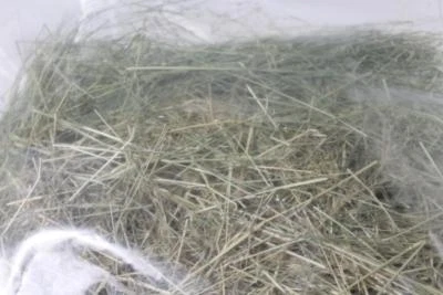 BULK 4kg bird swamp grass nesting nest material for finches canaries