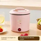 Hot Pot Electric Rice Cooker Quick Food Cooking Pot Electric Cooker Student