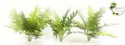 1/35 SCALE JUNGLE PLANTS MODEL SET (3 PLANTS/1 SET). TPV-100