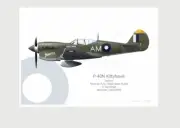 Warhead Illustrated P-40N Kittyhawk 77 Sq RAAF Joanne Aircraft Print