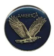 America Flying Eagle Blue Round Bike Motorcycle Hat Cap Lapel Pin HP1427
