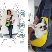 Pet Backpack Shoulder Bags Front Sling Carrier Mesh Comfort Travel Tote Portable