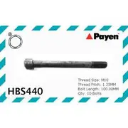 Payen Cylinder Head Bolt Set - HBS440