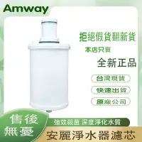 在飛比找蝦皮購物優惠-原廠台灣濾芯 安麗益之源淨水器過濾器 Amway eSpri