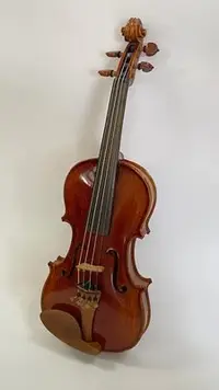 在飛比找Yahoo!奇摩拍賣優惠-【名琴樂器】小提琴 Violin 4/4 D. A. Ant