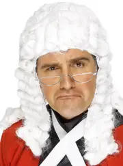 Curly White Adults Honourable Judge Costume Wig