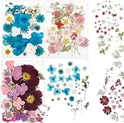 104Pcs Pressed Dried Flowers Set DIY Multipurpose Real Pressed Flowers Dry Leaves Kit Real Natural Pressing Floral Leaves for DIY Art Crafts Epoxy Resin Jewelry Molds Candle Soap Making