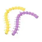2 Pieces Fidget Worm Toy Cute Sensory Slug Toy for Birthday Teens Children