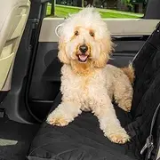 PetSafe Happy Ride Quilted Bench Seat Cover – Waterproof and Durable – Machine Washable – Fits Most Cars, Trucks and SUVs – Backseat Protection for Pet Paws, Scratches and Dog Hair