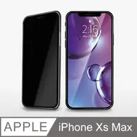在飛比找PChome24h購物優惠-【防偷窺鋼化膜】iPhone Xs Max 保護貼 iXs 